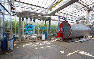 Пример проекта Котельные для теплиц модульная котельная на газе.jpg